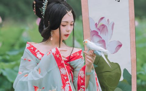 阡墨红尘《风荷举》 – YiTuYu艺图语