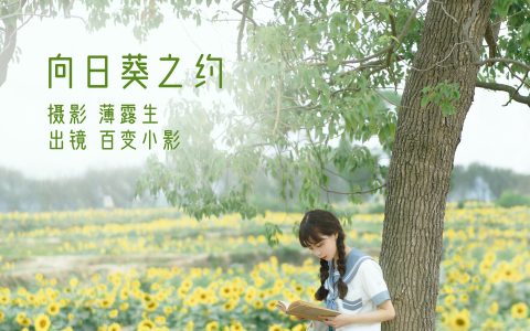 向日葵之约唯美 治愈系 小清新 青春 美好 向日葵 女生 – YiTuYu艺图语