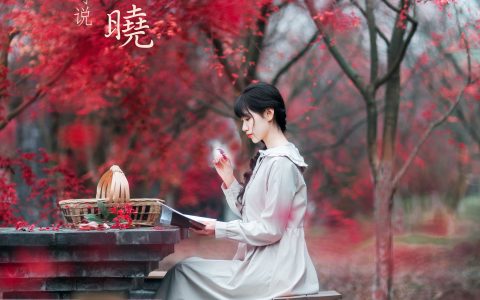 初茶《枫林春晓》 – YiTuYu艺图语