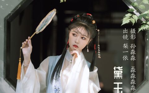 黛玉古风 清冷美人 精美 人像 – YiTuYu艺图语
