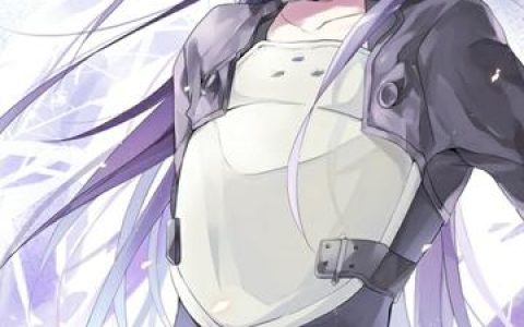 刀剑神域第四季异界战争解析,深度解读这一季的剧情与冲突