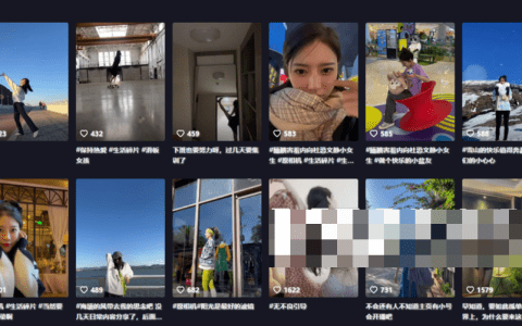 盛鸽有鱼er付费合集舞蹈教学宝库，提升舞技表演能力
