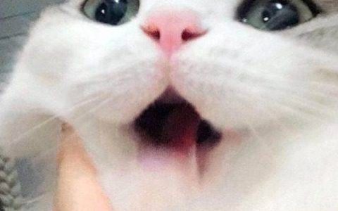 抖音网红婉柔yyyy的微密圈 – 稀有作品与内心世界一次拥有