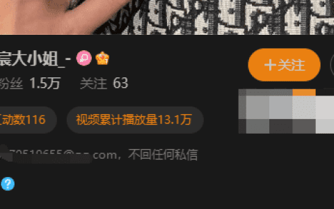 宸大小姐朋友圈付费门槛解读 – 高品质社交平台引广泛关注