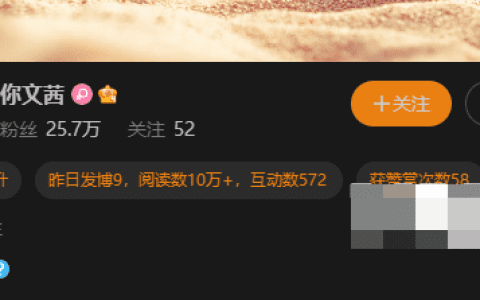 抖音网红Cool文茜微密圈套图 – 美貌与艺术气息并存