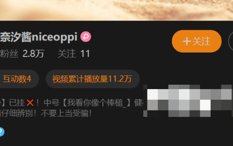 重庆姑娘奈汐酱私人订制 – 独一无二时尚体验