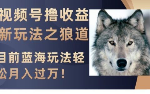 视频号狼道玩法解析，快速变现、获得收益的秘密方法，让你月入过万不再是梦想