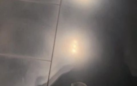 脸红Dearie的精彩瞬间,回顾她的精彩表现