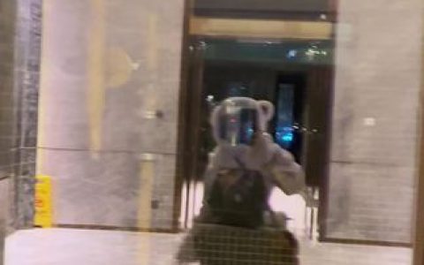 古阿扎是猪微博图全揭秘,发现更多惊喜