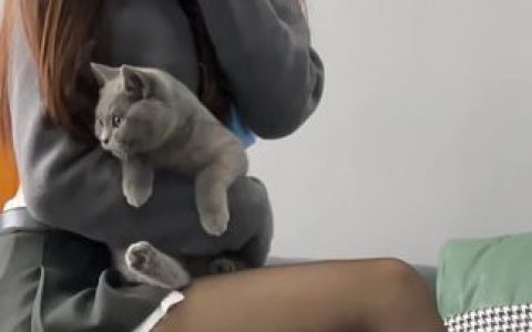 刘雅萌微密圈密码泄露,如何保护隐私?