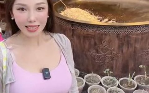 小厨娘美食记微密圈会员福利大揭秘，尽享独家特权