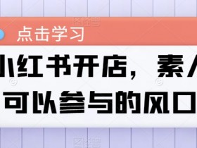 短剧推广引流怎么玩，小红书日增百人的精准操作技巧