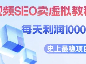 抖音SEO引流教程，抓住搜索优化风口快速实现变现