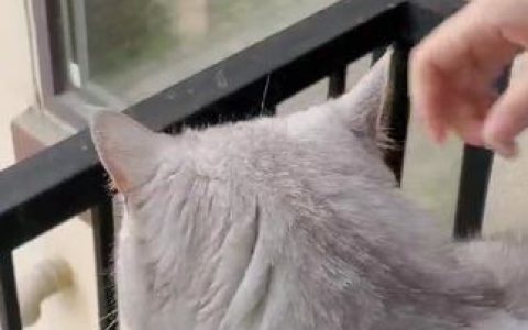 半半子_AKABENI BANBANKO·暖冬cos图包,暖冬cos高清图集下载