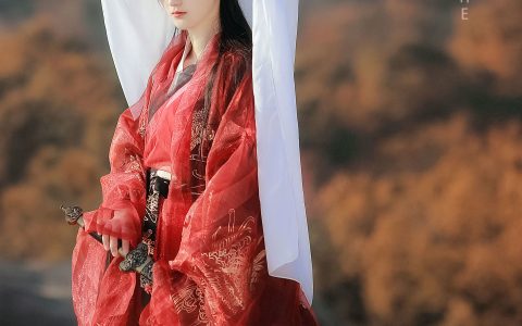 云之是小狐狸吖《剑破山河》 – YiTuYu艺图语