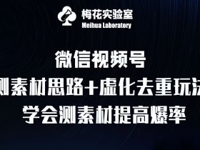 2025年视频号无人直播收益解析，单号单月如何实现高收入？