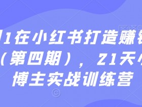 如何规划小红书运营项目，轻松完成方案编写的入门指南