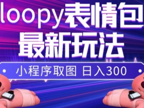 表情包项目如何结合搞笑视频，从段子到表情的流量转化策略