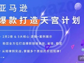 亚马逊成人用品的运营难点与解决方案，卖家必须掌握的核心知识
