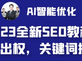 2025年抖音SEO怎么做，掌握最新算法，轻松抢占搜索排名