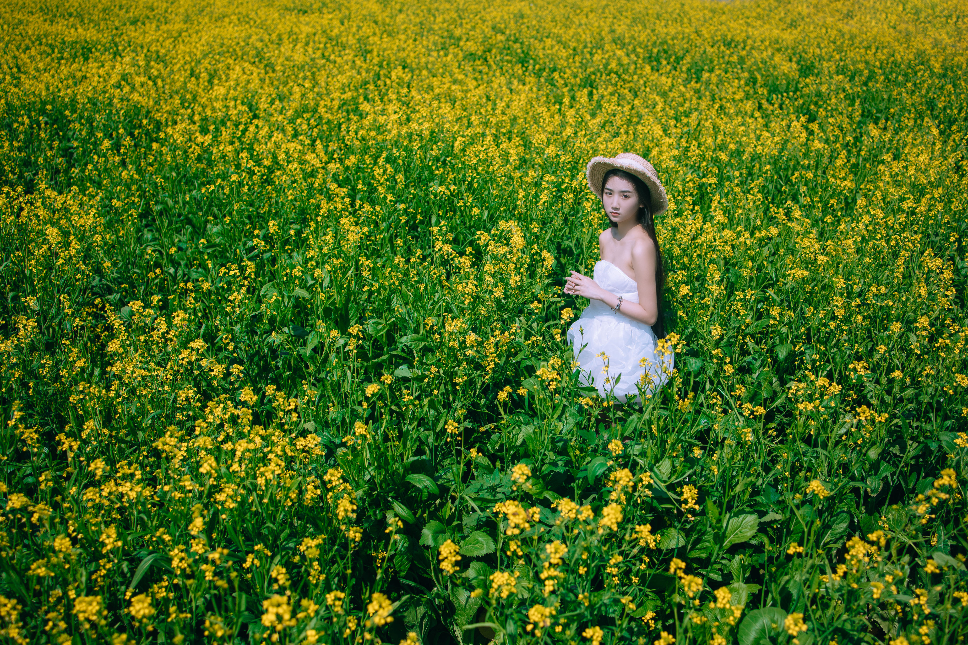 少女油菜花写真 花 美少女 小清新 青春