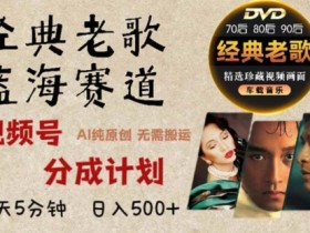视频号分成计划怎么玩，全新玩法教你日赚300+