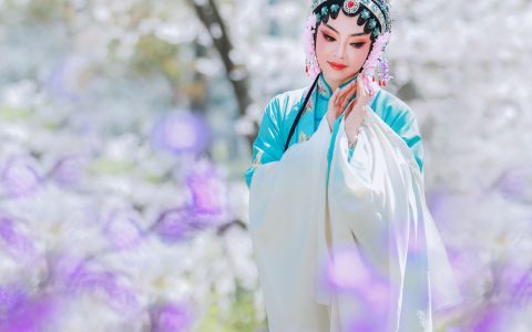 丹琼《樱花有戏》 – YiTuYu艺图语