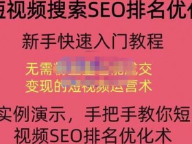 抖音SEO引流教程，抓住搜索优化风口快速实现变现