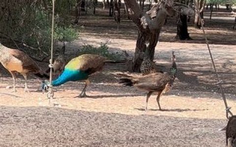 左公子666微博最新照片,微密圈独家照片合集