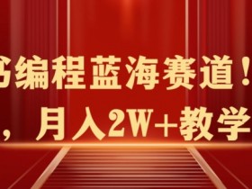 短剧推广赚钱的底层逻辑，小红书蓝海项目的操作秘籍
