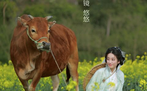 牧牛古风 小清新 美图 唯美 姑娘 意境 情感 – YiTuYu艺图语
