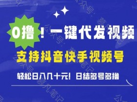 抖音带货蓝海项目揭秘，抓住2025年的流量红利