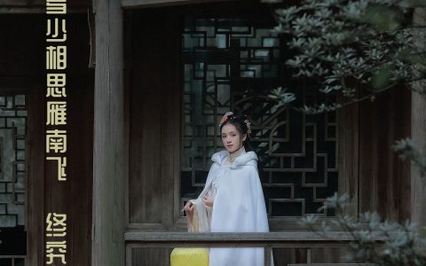 思佳《多少相思雁南飞,终究天涯人不回》 – YiTuYu艺图语