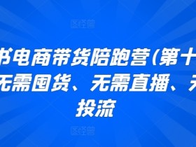 短剧推广赚钱的底层逻辑，小红书蓝海项目的操作秘籍