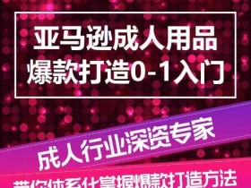 亚马逊成人用品行业哪里进货，高质量供应商推荐与挑选技巧