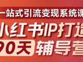 小红书掘金虚拟资源玩法，冷门赛道操作日入过万