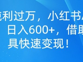 小红书短时间内如何快速引流，流量爆发的高效方案解析
