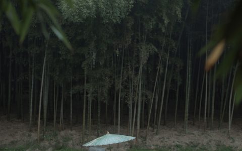 悦烨未央《青鸟》 – YiTuYu艺图语