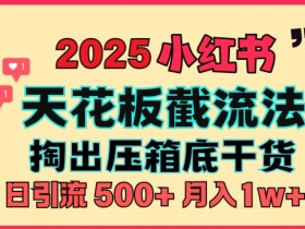 小红书矩阵推广实操干货，图文引流的核心技巧分享