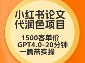 如何规划小红书运营项目，轻松完成方案编写的入门指南