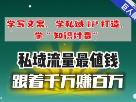 最新男粉私域变现玩法，如何利用最新玩法提升男粉私域变现效率