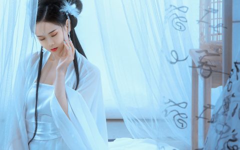 欣宝《青狐》 – YiTuYu艺图语