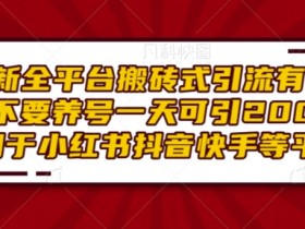 小红书图文矩阵怎么搭建，引流策略与账号矩阵玩法全解析