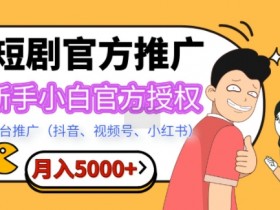 视频号素人直播的高级玩法，从个人到团队的运营进阶技巧
