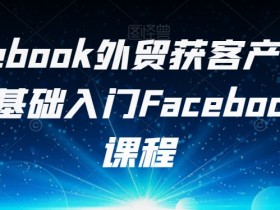 2025年最新Facebook流量获取技巧，玩转短视频与广告引流