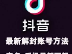 抖音短视频营销深度课程，解析品牌成功的关键逻辑