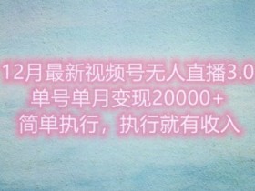 视频号分成计划怎么玩，全新玩法教你日赚300+