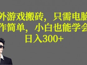 游戏搬砖项目如何提高转换率，提升游戏搬砖项目转换率的最佳方法