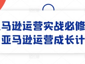 亚马逊成人用品广告效果不好怎么办，从流量分析到内容优化的解决方法