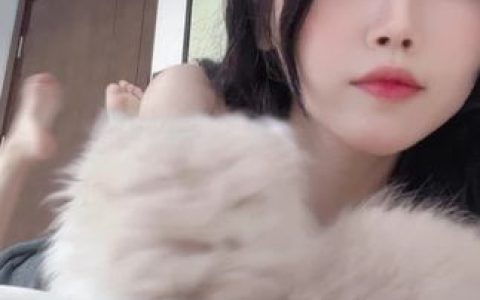 微博网红不呆猫cos吉他姐姐,精美写真摄影